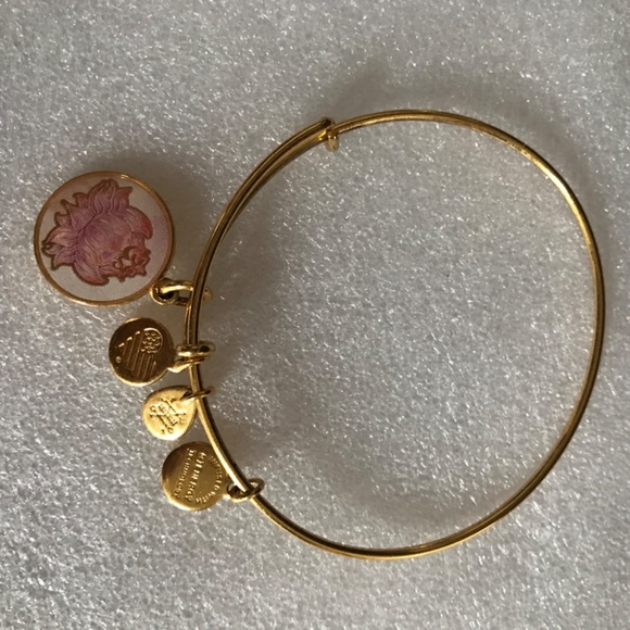 Alex and Ani Expandable Wire Bracelet - Picture 7 of 12